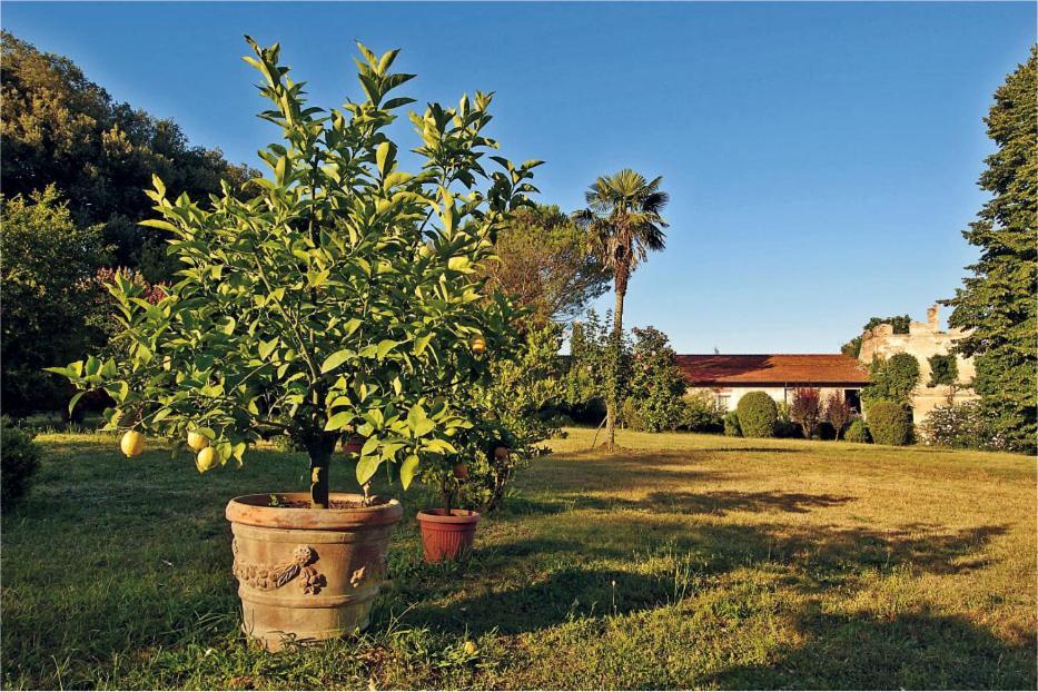 Fattoria Agriturismo Bigongiari Lucca Esterno foto